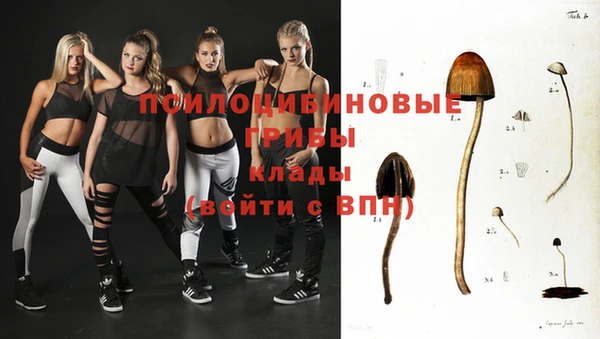 МДПВ Рославль