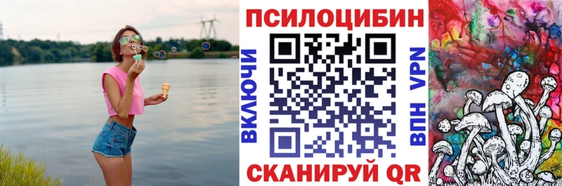 где можно купить наркотик  Чегем  Галлюциногенные грибы Cubensis 