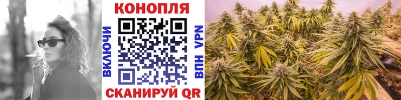 МАРИХУАНА THC 21%  дарк нет наркотические препараты  Чегем  MEGA зеркало 